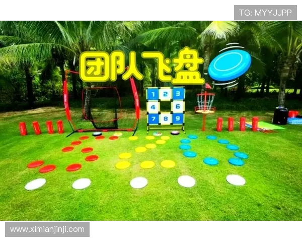 飞盘飞扬杭州飞盘队的成长与奋斗历程全景揭秘